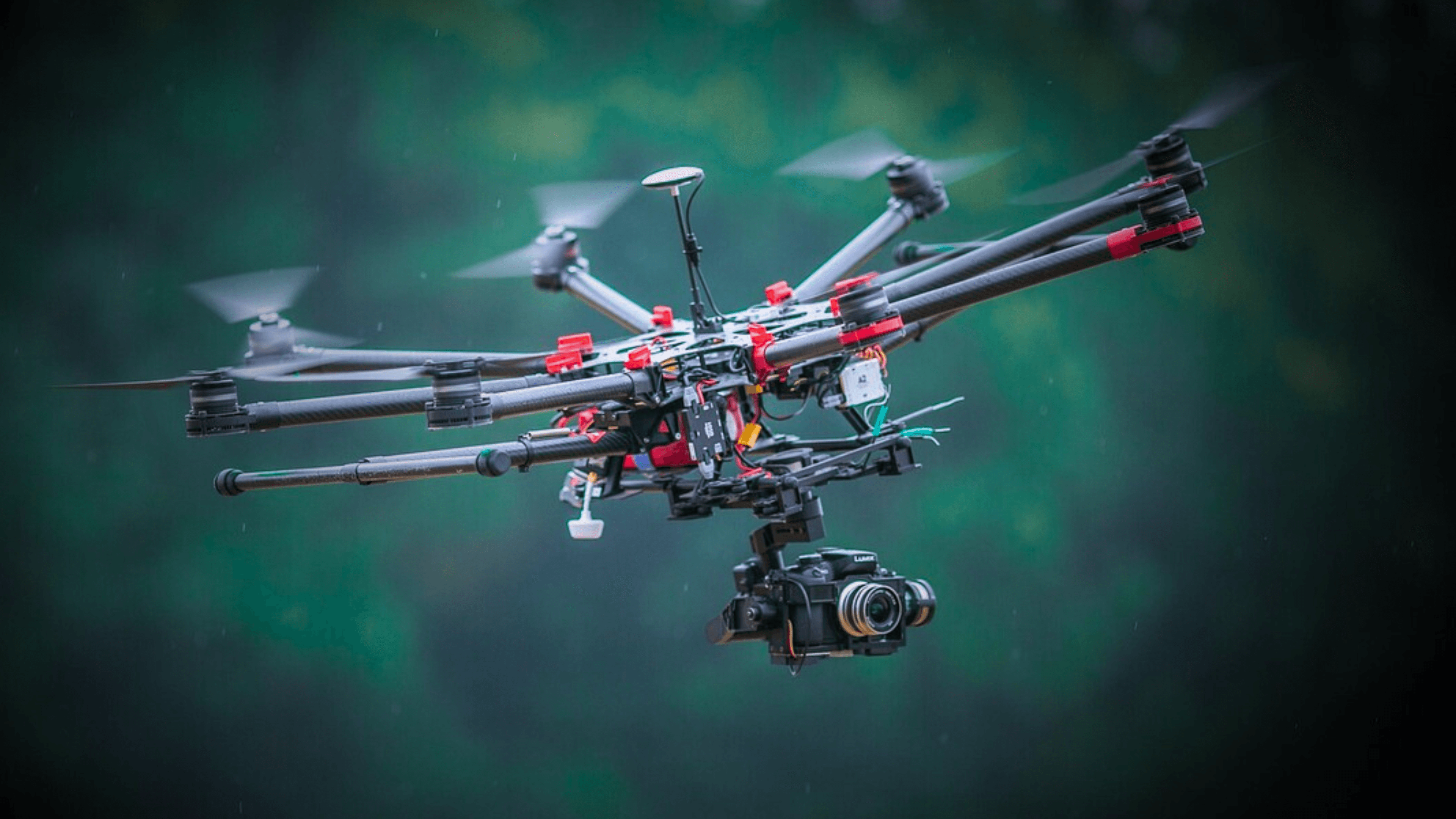 agrifly