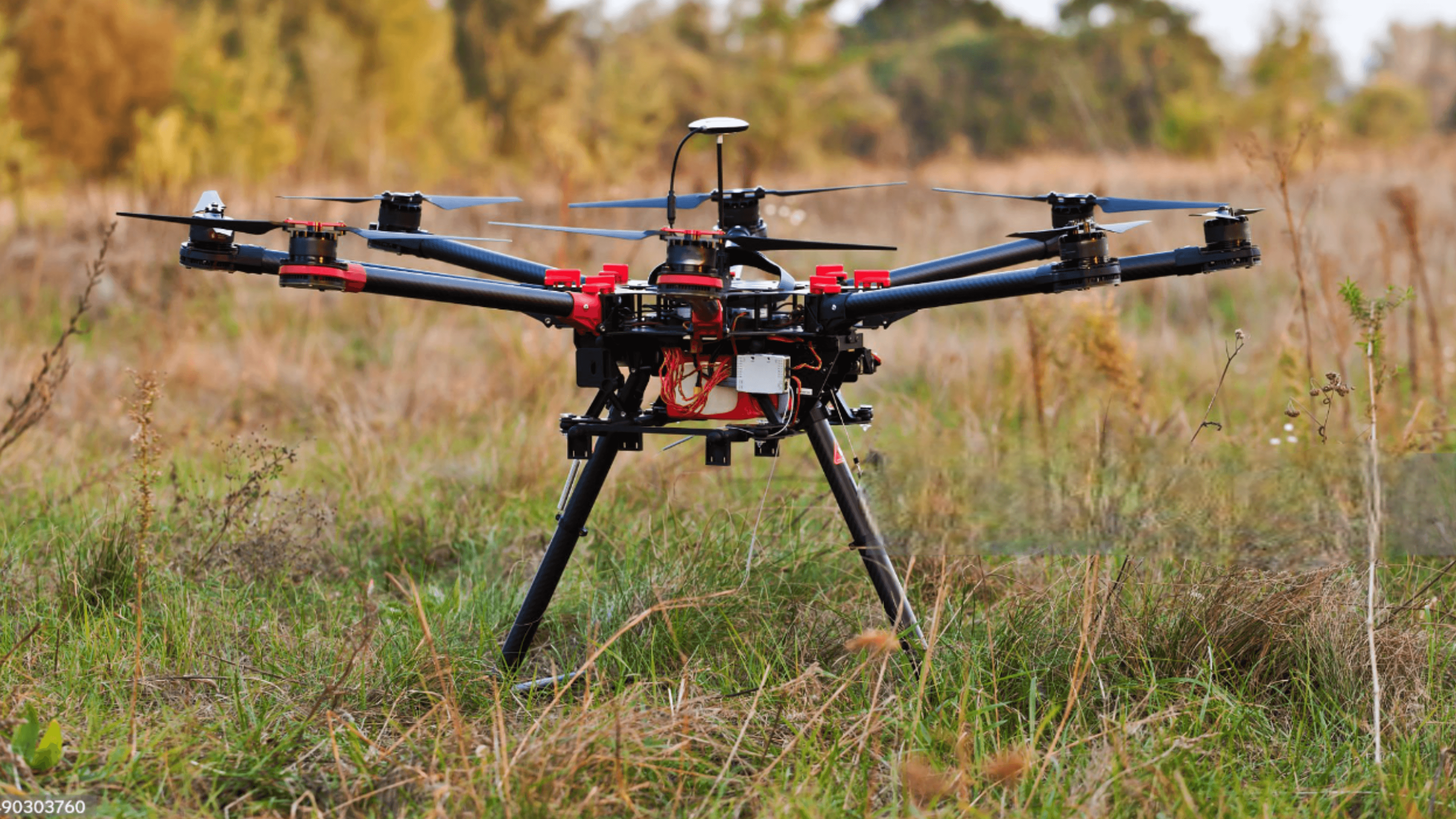 agrifly