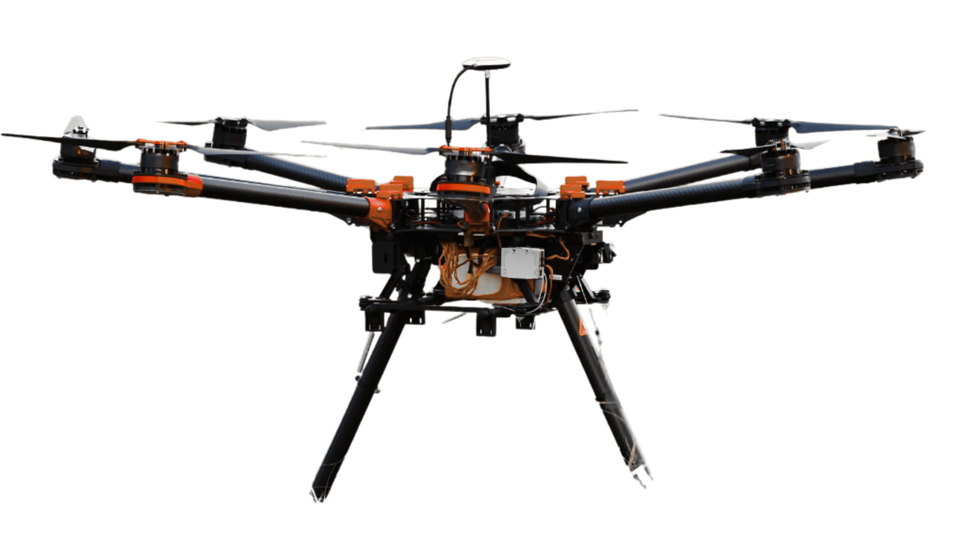 agrifly