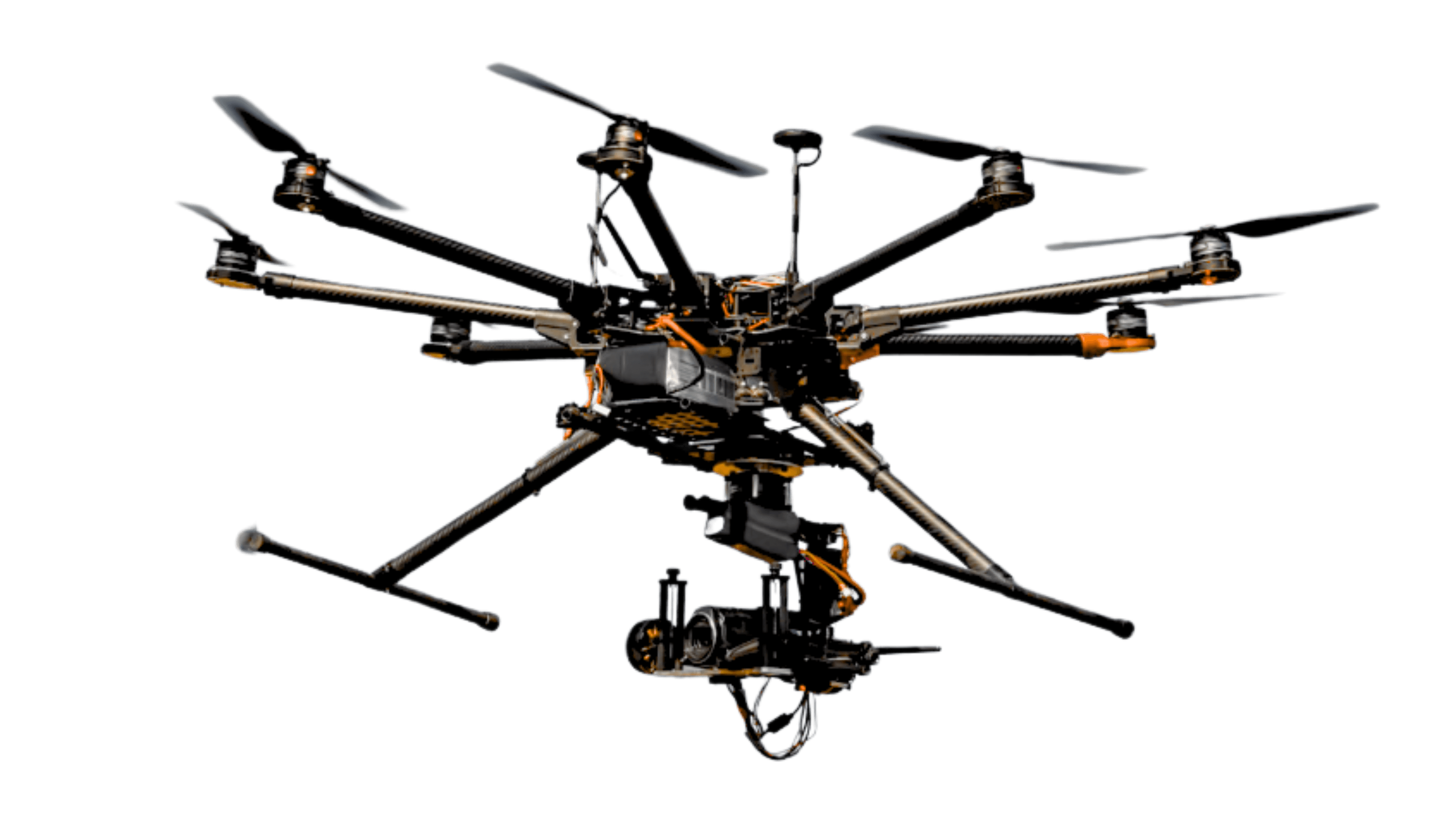 agrifly