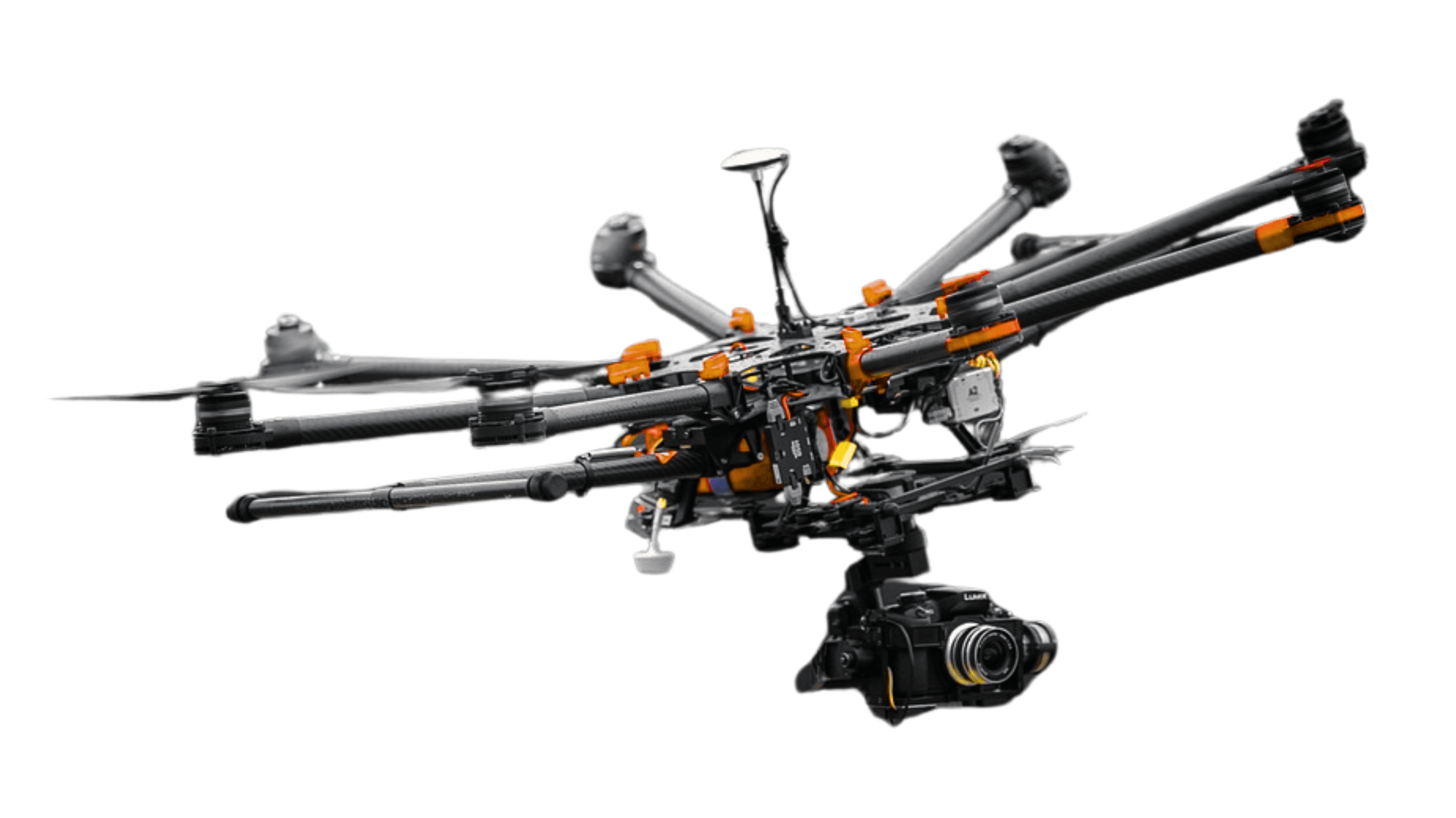 agrifly